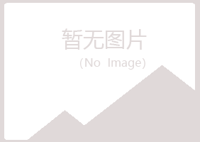 青山区忆伤会计有限公司